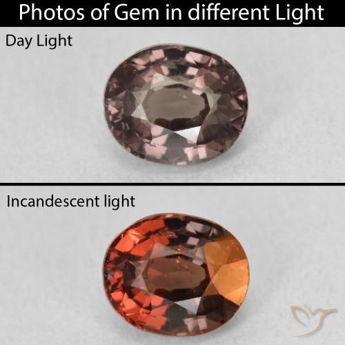 1.36ct Natural Dark Brown Color-Change Garnet, Oval, VS