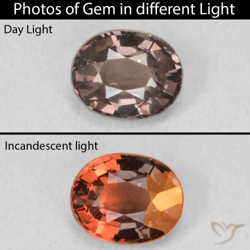 0.97ct Natural Dark Brown Color-Change Garnet, Oval, VS