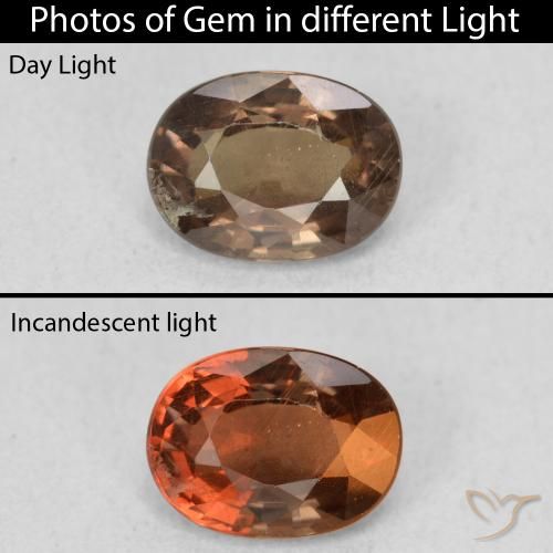 1.16ct Natural Dark Brown Color-Change Garnet, Oval, VS