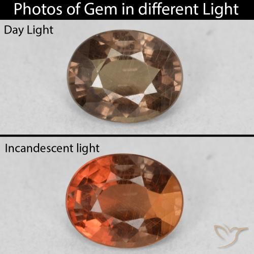 1.01ct Natural Dark Brown Color-Change Garnet, Oval, VS