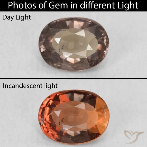0.94ct Natural Dark Brown Color-Change Garnet, Oval, VS