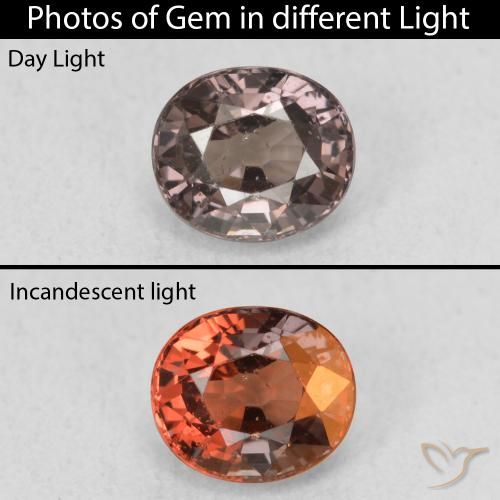 1.00ct Natural Dark Brown Color-Change Garnet, Oval, VS