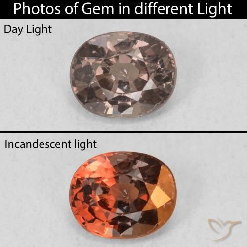 0.97ct Natural Dark Brown Color-Change Garnet, Oval, VS