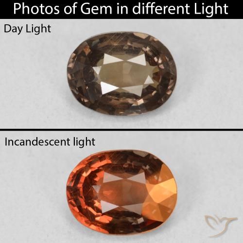 1.26ct Natural Dark Brown Color-Change Garnet, Oval, VS