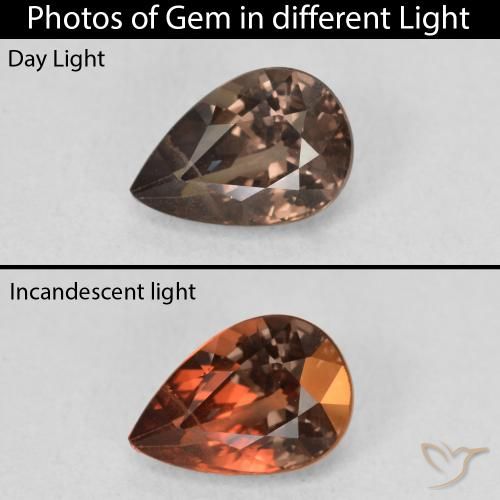 1.27ct Natural Dark Brown Color-Change Garnet, Pear Shape, VS