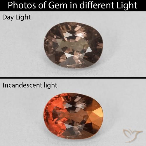 1.57ct Natural Dark Brown Color-Change Garnet, Oval, VS