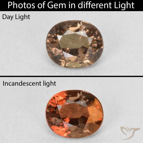 0.94ct Natural Dark Brown Color-Change Garnet, Oval, VS
