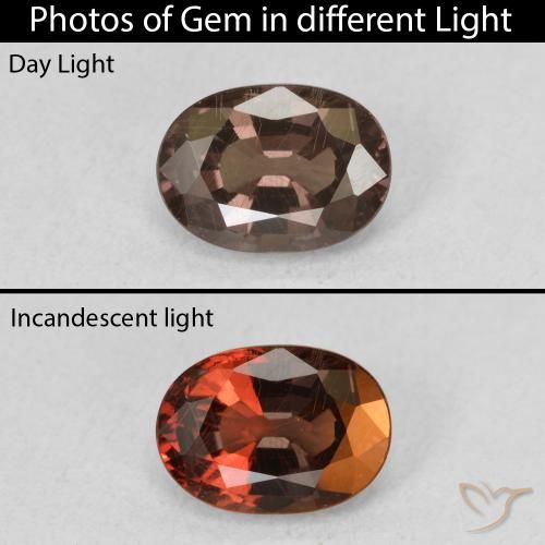 1.34ct Natural Dark Brown Color-Change Garnet, Oval, VS