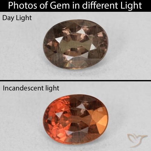 0.97ct Natural Dark Brown Color-Change Garnet, Oval, VS