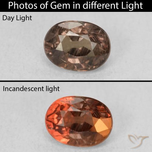 0.96ct Natural Dark Brown Color-Change Garnet, Oval, VS