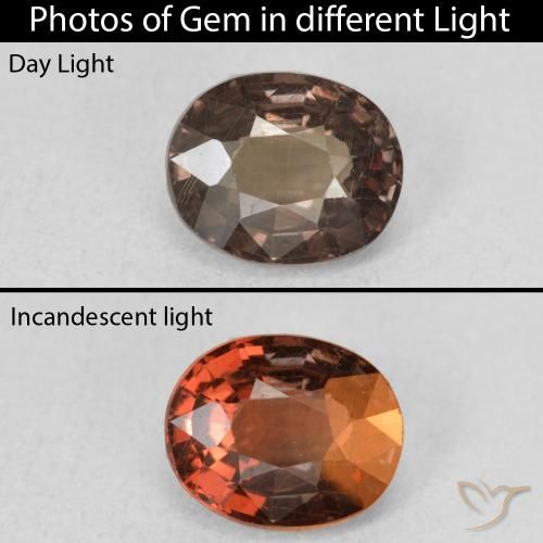 1.28ct Natural Dark Brown Color-Change Garnet, Oval, VS