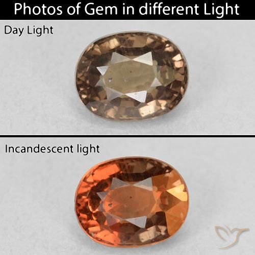 0.99ct Natural Dark Brown Color-Change Garnet, Oval, VS