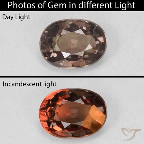 1.19ct Natural Dark Brown Color-Change Garnet, Oval, VVS-VS
