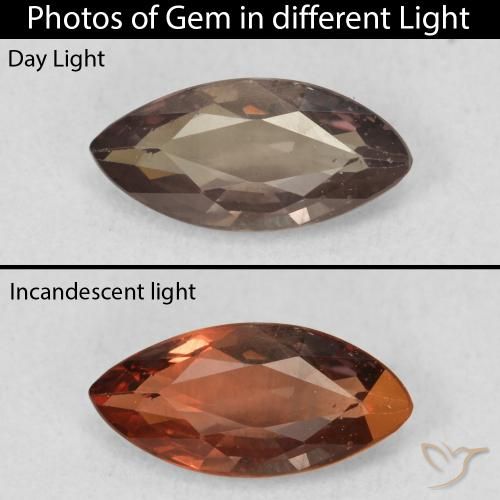 1.03ct Natural Dark Brown Color-Change Garnet, Marquise, VVS-VS