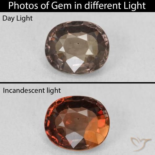 1.30ct Natural Dark Brown Color-Change Garnet, Oval, VVS-VS