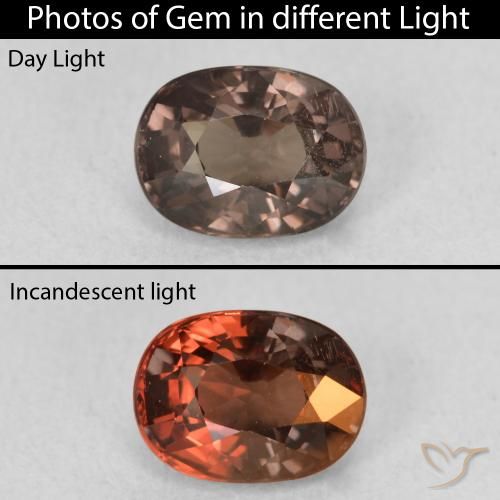 1.47ct Natural Dark Brown Color-Change Garnet, Oval, VVS-VS
