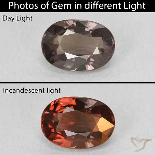 1.50ct Natural Dark Brown Color-Change Garnet, Oval, VVS-VS