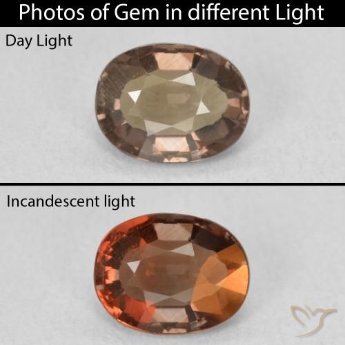 1.32ct Natural Dark Brown Color-Change Garnet, Oval, VVS-VS