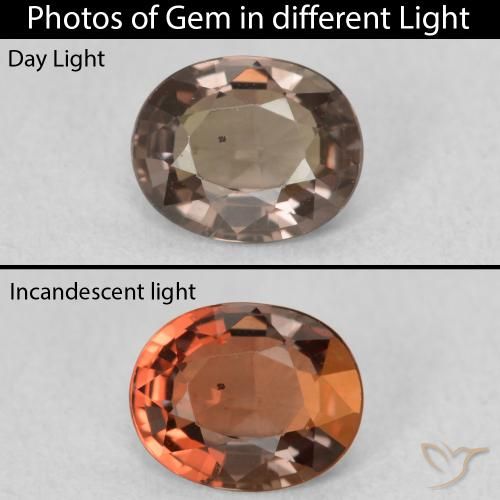 1.02ct Natural Dark Brown Color-Change Garnet, Oval, VVS-VS