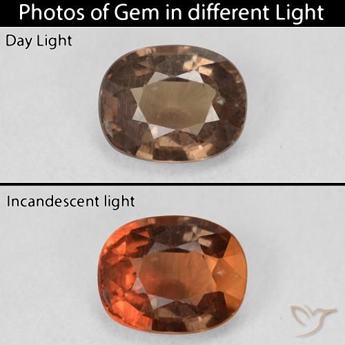 1.50ct Natural Dark Brown Color-Change Garnet, Cushion, VS
