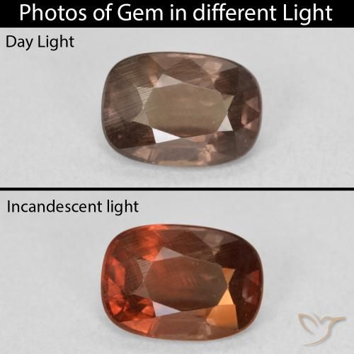 1.50ct Natural Dark Brown Color-Change Garnet, Cushion, VS