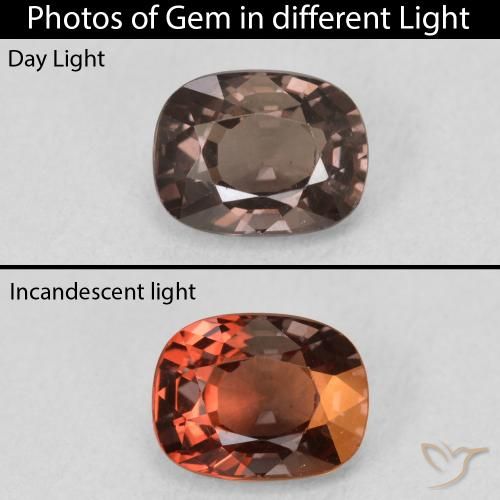 1.47ct Natural Dark Brown Color-Change Garnet, Cushion, VS