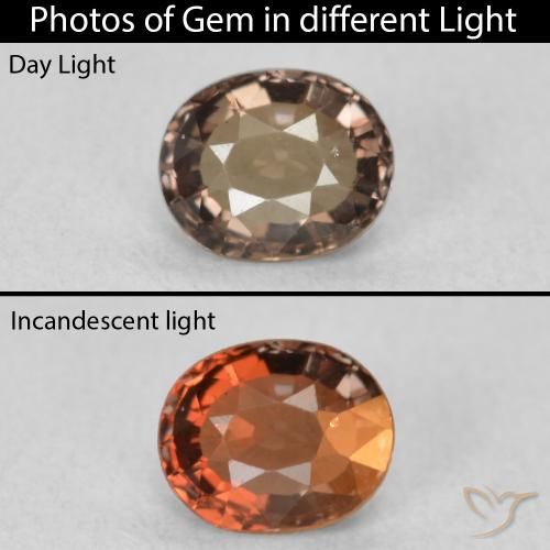 0.80ct Natural Dark Brown Color-Change Garnet, Oval, VVS