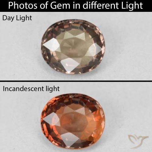 1.16ct Natural Dark Brown Color-Change Garnet, Oval, VVS