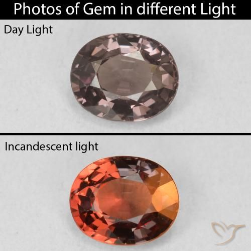 1.03ct Natural Hickory Brown Color-Change Garnet, Oval, VVS