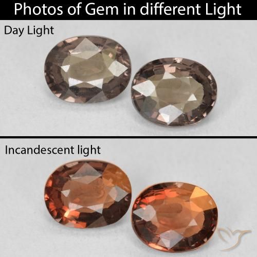 2.23ctw Natural Medium Light Brown Color-Change Garnet, Oval, VVS