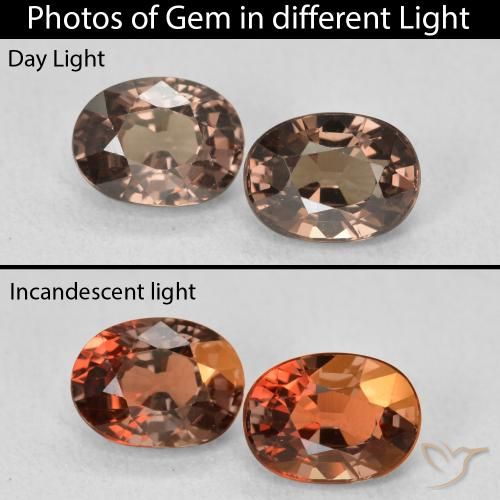 2.84ctw Natural Medium Light Brown Color-Change Garnet, Oval, VVS-VS
