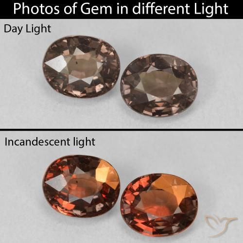 3.15ctw Natural Medium Light Brown Color-Change Garnet, Oval, VVS-VS