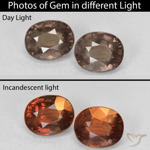 2.74ctw Natural Medium Light Brown Color-Change Garnet, Oval, VS