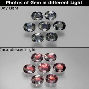 1.49 ct Multicolor Color-Change Sapphire Gemstone, Color-Change Sapphire Gem in Oval Facet Shape for Sale.