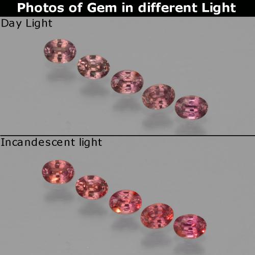 Púrpura rojizo Zafiro con Cambio de Color Gema - 0.2ct Forma ovalada (ID: 401626)