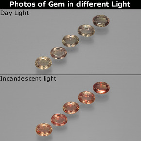 Medium Light Brown Меняющий Цвет Сапфир Камень - 0.2ct Фасетный Овал (ID: 401627)