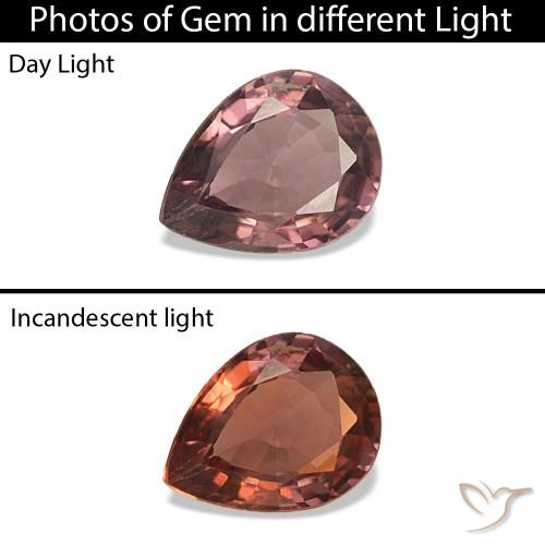 0.28ct Deep Rose Pink Color-Change Sapphire Gemstones, Pear Shape, VVS