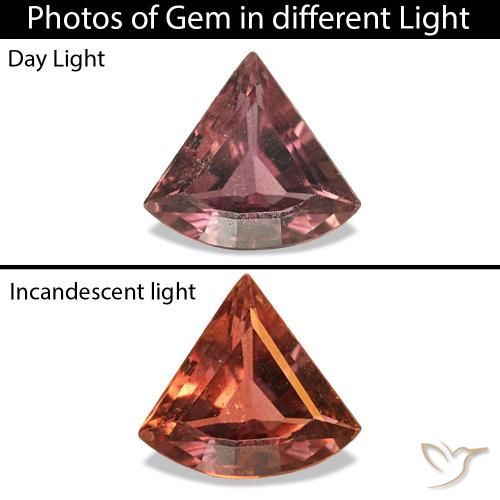 0.21ct Deep Rose Pink Color-Change Sapphire Gemstones, Fancy, VS