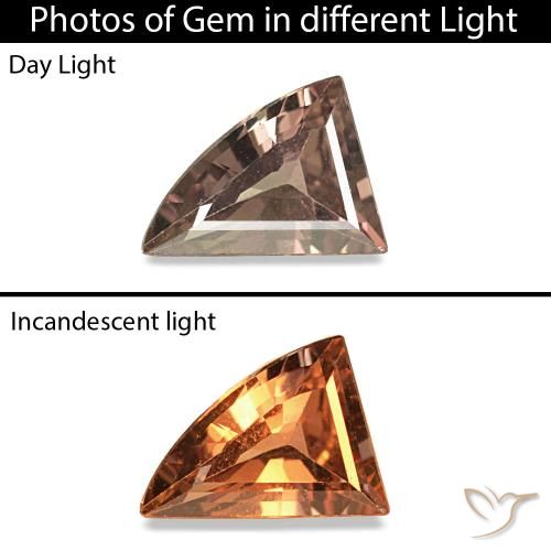 0.30ct Dark Brown Color-Change Sapphire, Fancy, VVS-VS