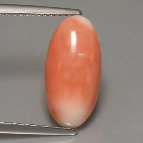 3.18 ct Bi-color Coral Gemstone, Coral Gem in Oval Cabochon Shape for Sale.