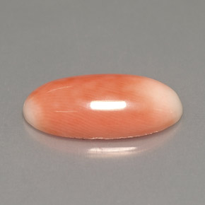 3.18 ct Bi-color Coral Stone, Natural Coral in Oval Cabochon Shape for Sale