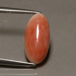 3.10 ct Pink Coral Stone, Natural Coral in Oval Cabochon Shape for Sale