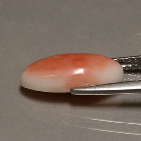 Coral Gemstone in 14.3 x 7 mm Size for Sale, Coral Stone in White Salmon Color