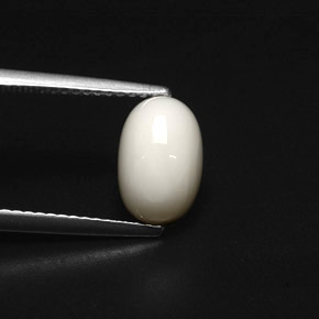 2.49 ct White Coral Stone, Natural Coral in Oval Cabochon Shape for Sale