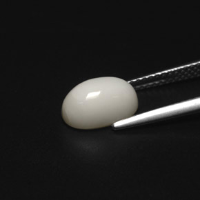 Coral Gemstone in 9.9 x 6.5 mm Size for Sale, Coral Stone in White Color