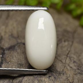 2.5ct Oval Cabochon White Coral Gem for sale 2.5ct Oval Cabochon White Coral Gem (ID: 186119)