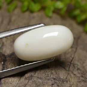 2.47 ct White Coral Stone, Natural Coral in Oval Cabochon Shape for Sale