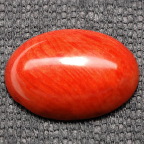 7.43 ct Orange Coral Gemstone, Coral Gem in Oval Cabochon Shape for Sale.