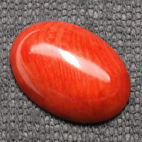 7.43 ct Orange Coral Stone, Natural Coral in Oval Cabochon Shape for Sale
