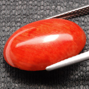 Coral Gemstone in 18 x 13 mm (calibrated) Size for Sale, Coral Stone in Orange Color